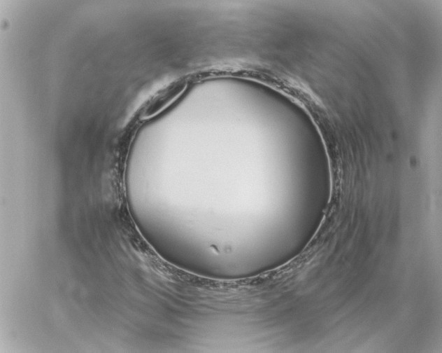 X0000060261256200511112012