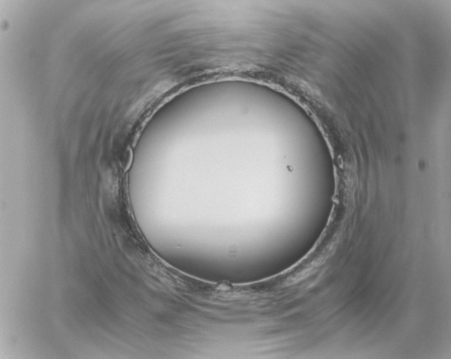 X0000060261257200511112012