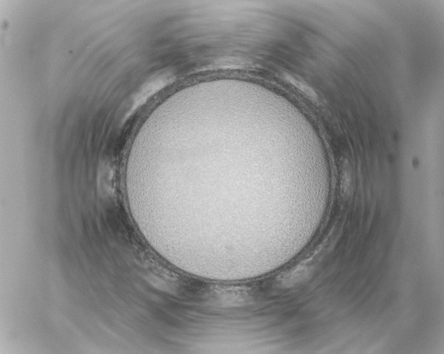 X0000060261258200511112012