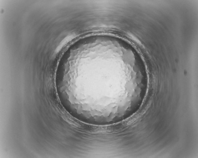 X0000060261259200511112012