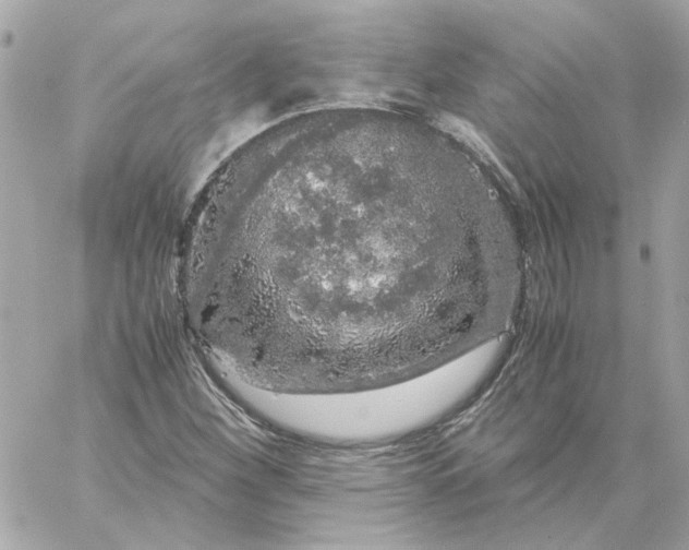 X0000060261260200511112012