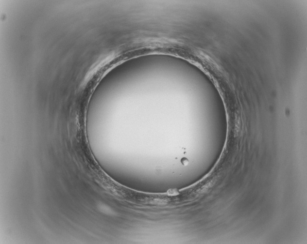 X0000060261261200511112012