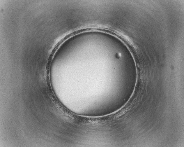 X0000060261264200511112012