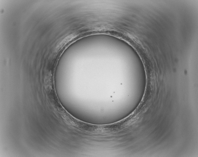 X0000060261265200511112012