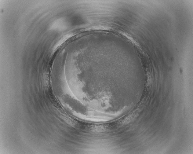 X0000060261266200511112012