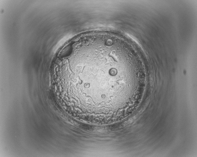 X0000060261267200511112012