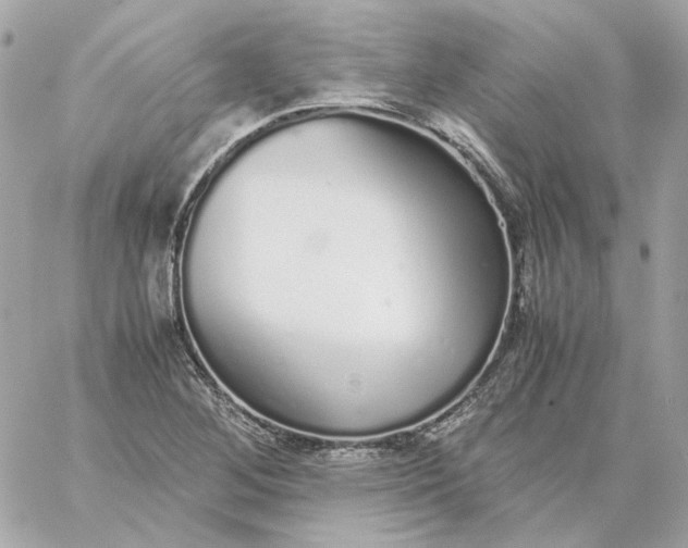 X0000060261268200511112012