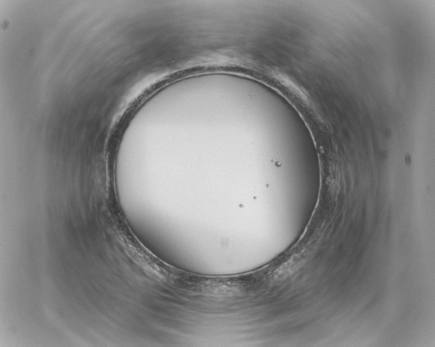 X0000060261270200511112012