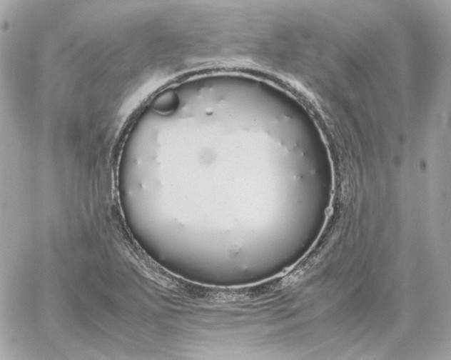 X0000060261271200511112012