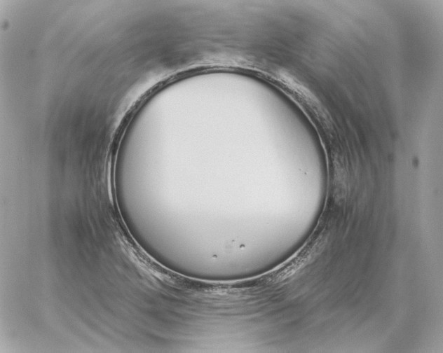 X0000060261272200511112012