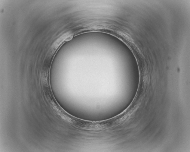 X0000060261273200511112012