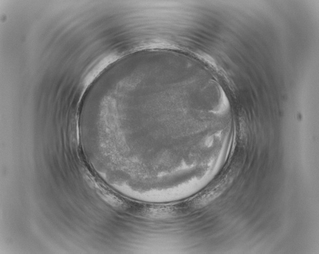 X0000060261274200511112012