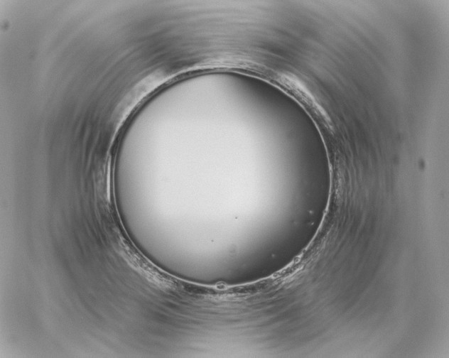 X0000060261276200511112012