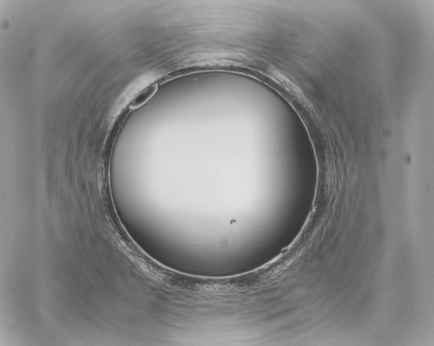 X0000060261277200511112011