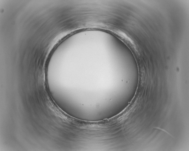 X0000060261280200511112011