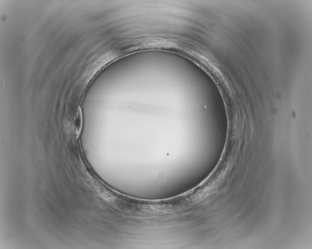 X0000060261281200511112011