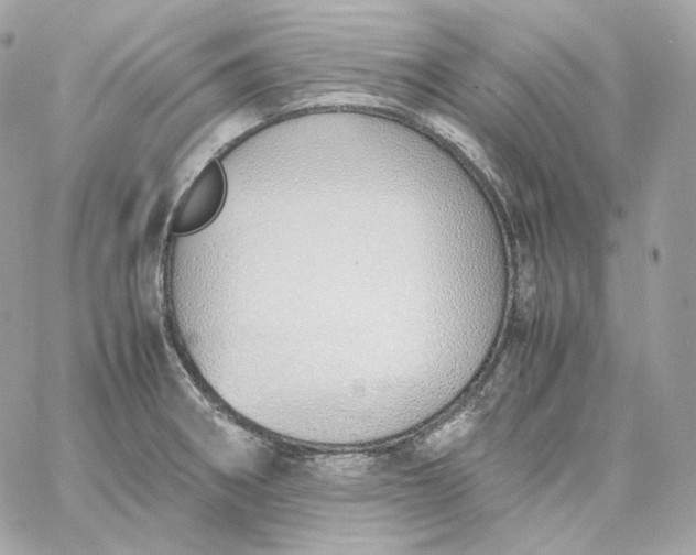 X0000060261282200511112011