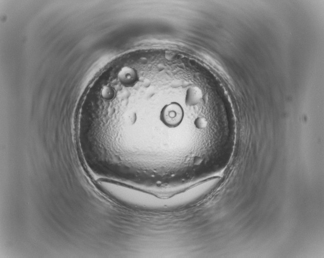 X0000060261283200511112011