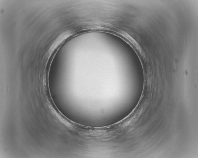 X0000060261285200511112011