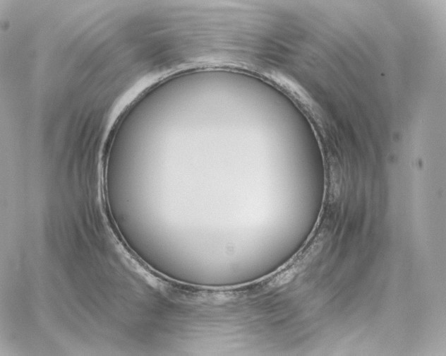 X0000060261286200511112011