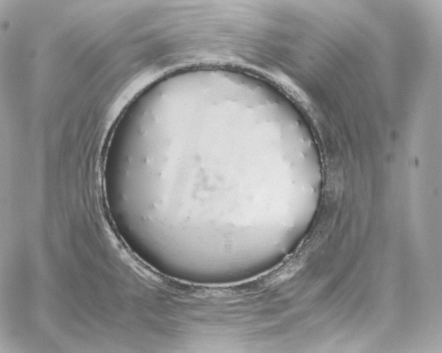 X0000060261287200511112011