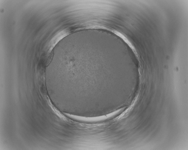 X0000060261289200511112011