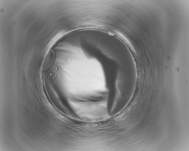 X0000060261291200511112011