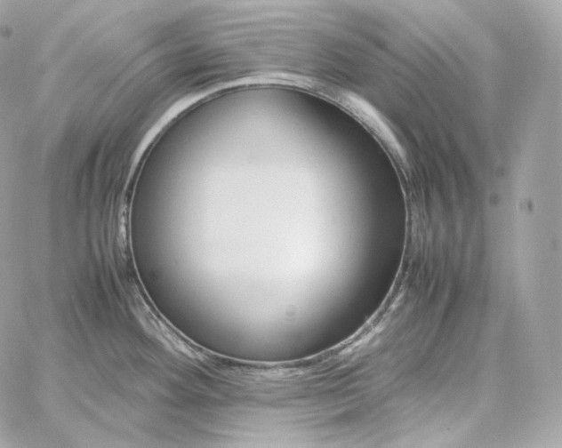 X0000060261292200511112011