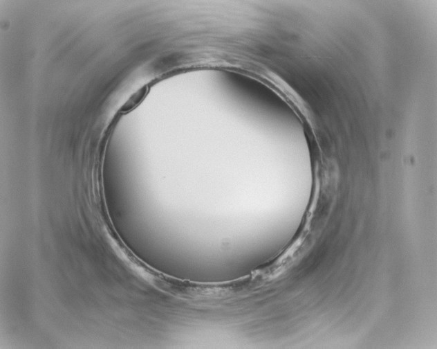 X0000060261293200511112011