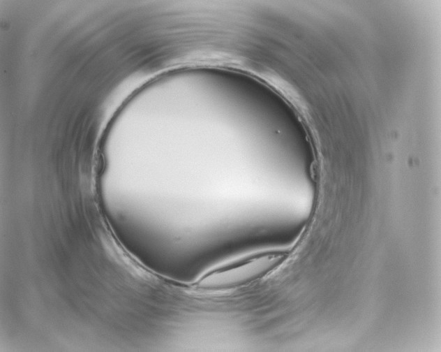 X0000060261296200511112011