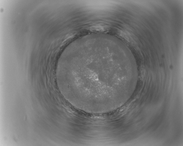 X0000060261297200511112010