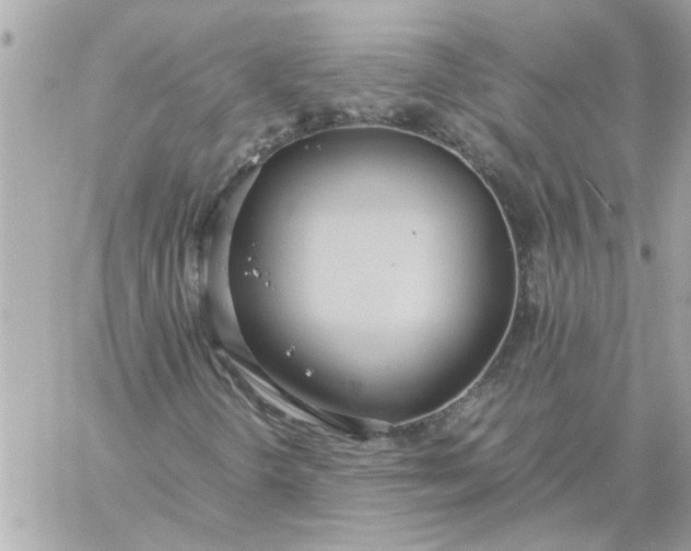 X0000060261298200511112010