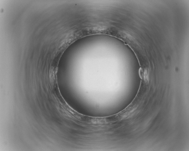 X0000060261299200511112010