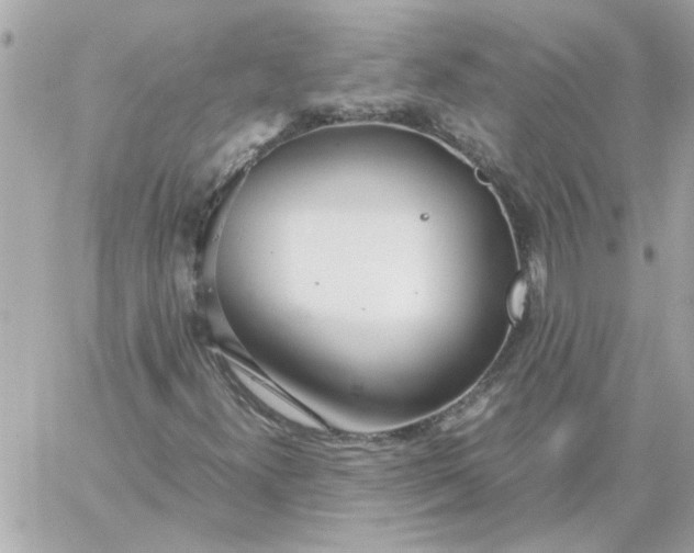 X0000060261300200511112010