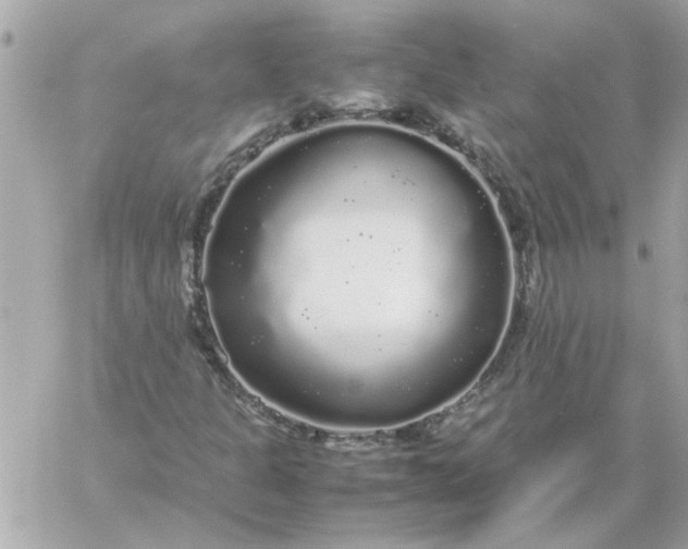 X0000060261301200511112010