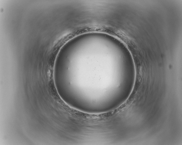 X0000060261302200511112010