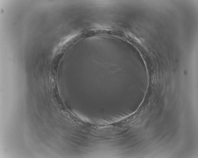 X0000060261303200511112010