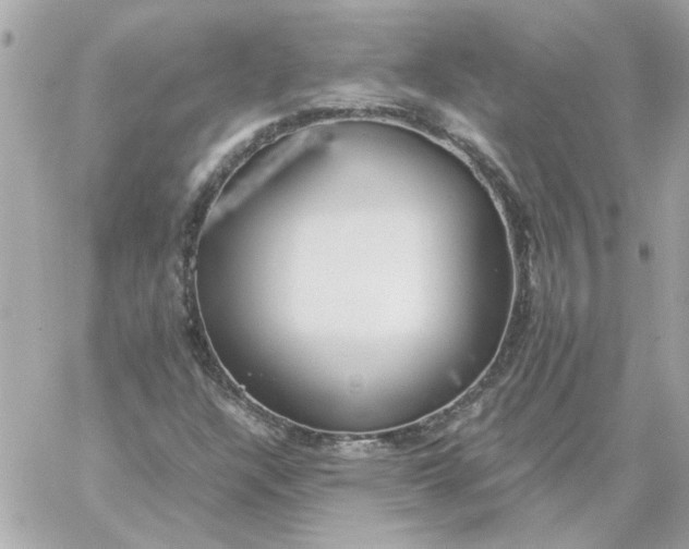 X0000060261304200511112010