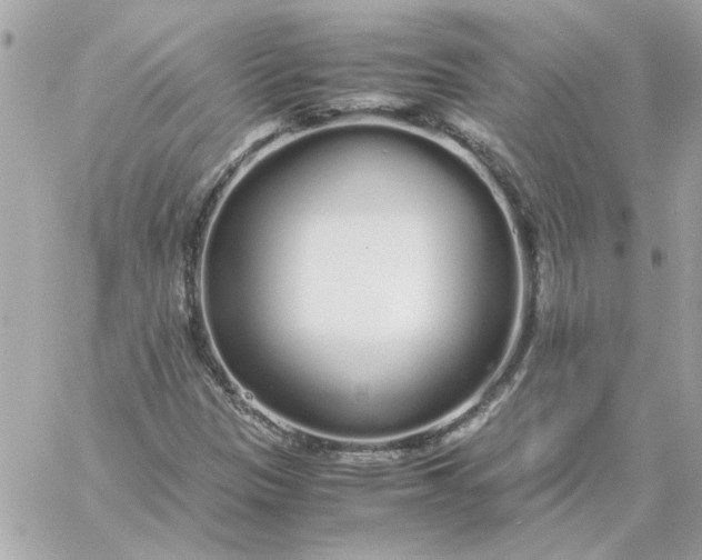 X0000060261305200511112011