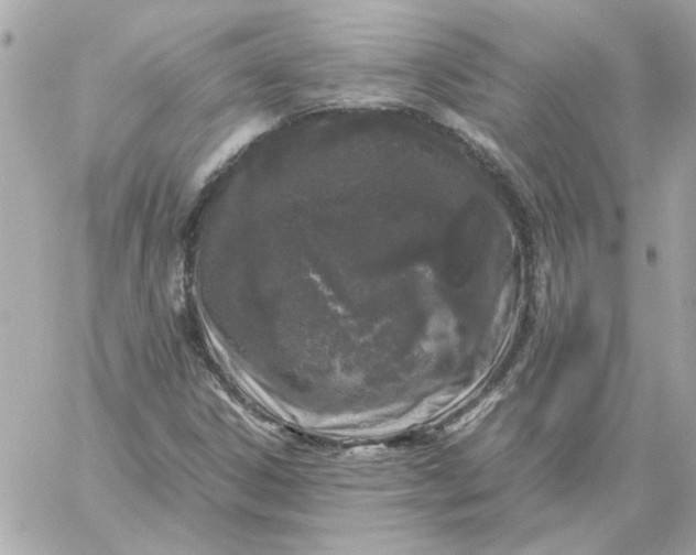 X0000060261306200511112011