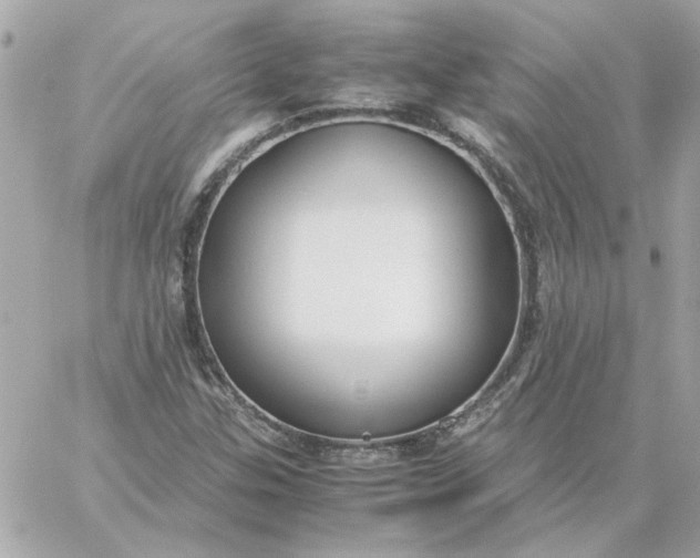 X0000060261307200511112011