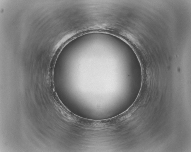 X0000060261308200511112011