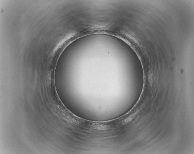 X0000060261309200511112011