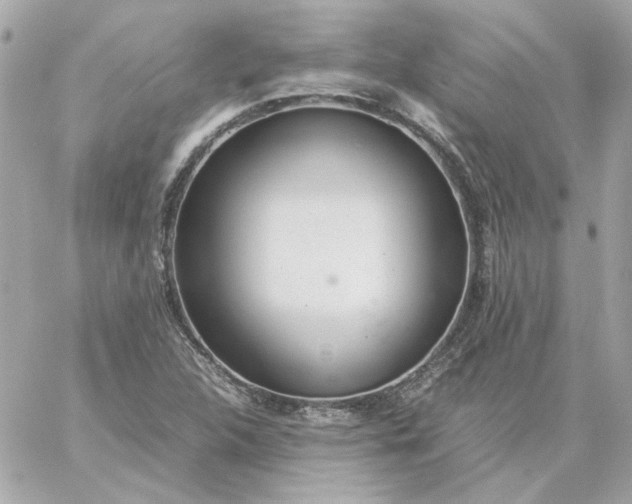 X0000060261312200511112011