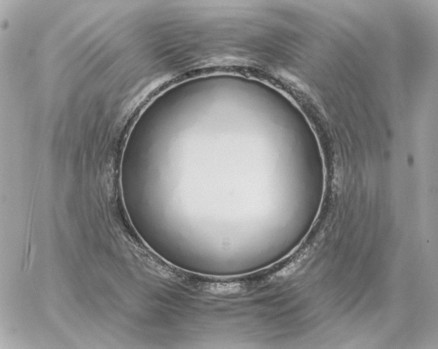 X0000060261313200511112011