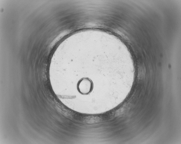 X0000060261314200511112011