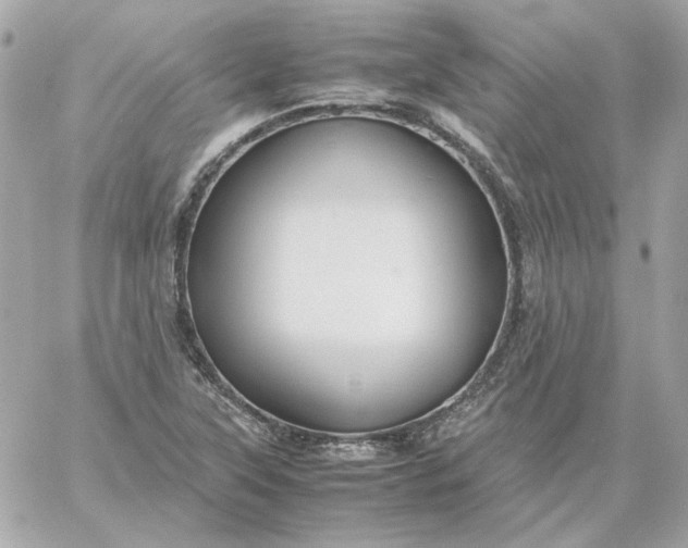 X0000060261315200511112011