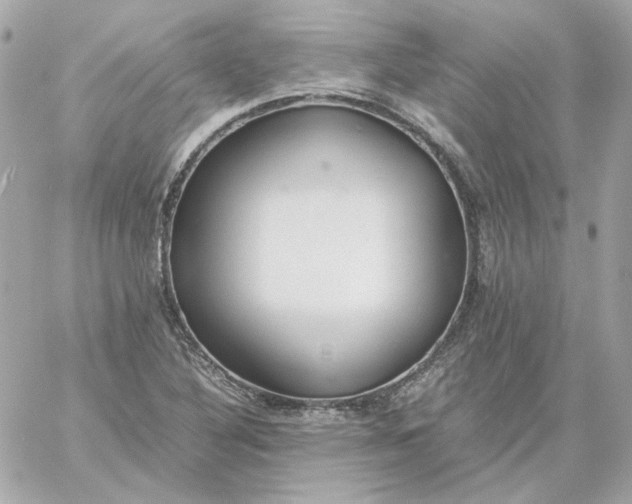 X0000060261316200511112011