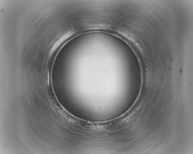 X0000060261317200511112011