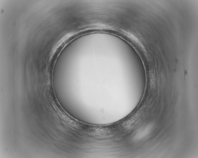 X0000060261318200511112011